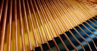 Piano strings01