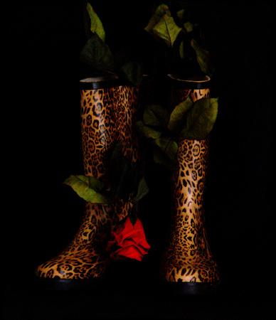 G2_2308_My wildcat boots