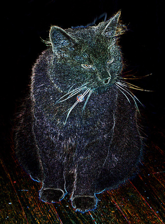 Elaine Bacal_Neon cat