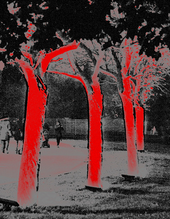 Elaine Bacal_Red trees