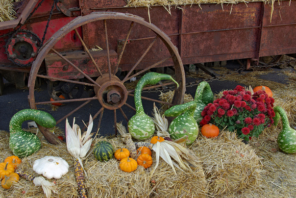 Elaine Bacal_Old wagon with squash
