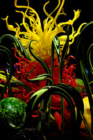Elaine Bacal_Chihuly glass sculpture