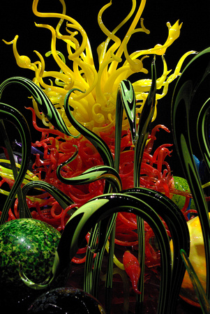 Elaine Bacal_Chihuly glass sculpture