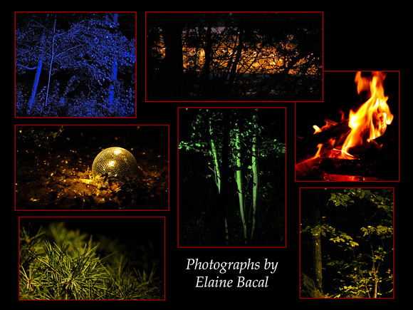 Elaine Bacal_Gardens of Light collage