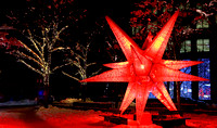 09_2308_Bright Red Star