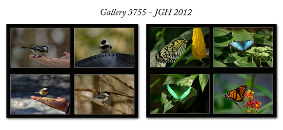 2012 JGH Gallery05