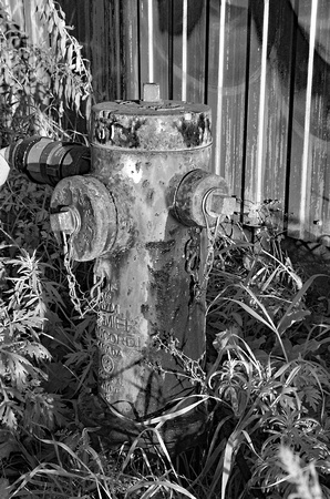 F1_2308_(T)rusty Old Fire Hydrant
