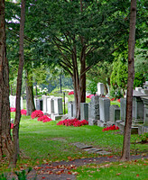 Elaine Bacal_Mount Royal Cemetery06