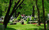 Elaine Bacal_Mount Royal Cemetery09