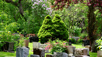 Elaine Bacal_Mount Royal Cemetery10