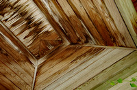 Elaine Bacal_Wooden ceiling