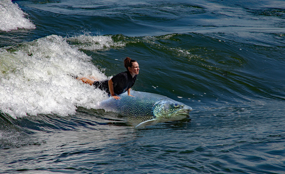 G1_2308_Surfing the big fish