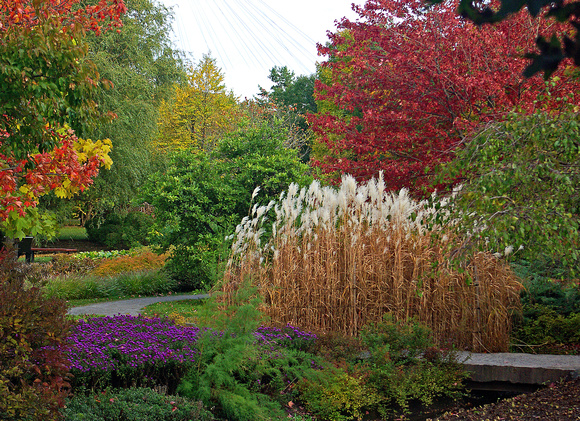 Elaine Bacal_Colourful Fall garden
