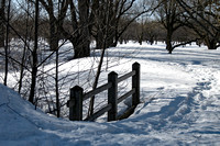 Elaine Bacal_Fence in the snow