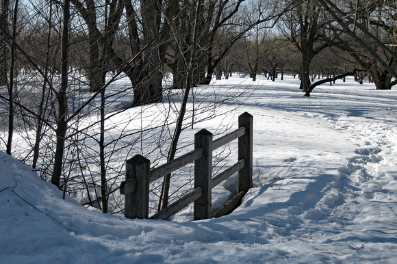Elaine Bacal_Fence in the snow