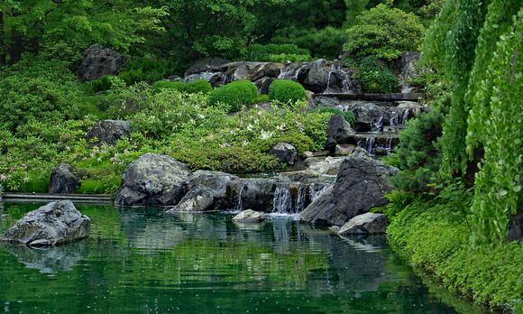 Elaine Bacal_Japanes garden pond and falls