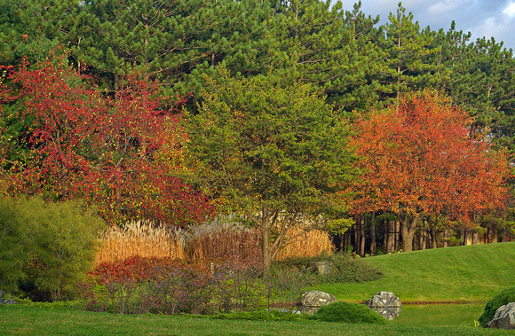 Elaine Bacal_Japanese garden fall view03