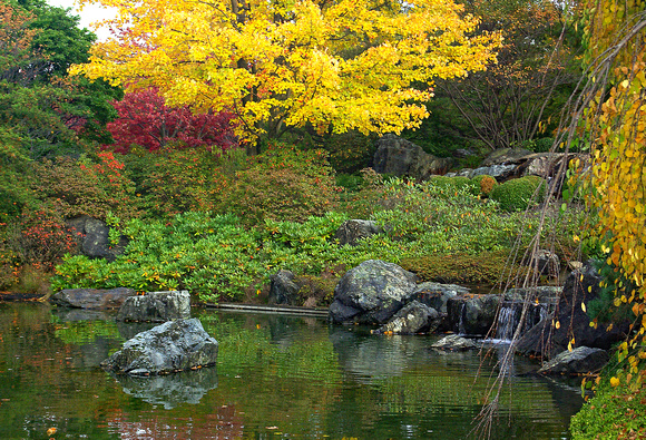 Elaine Bacal_Japanese garden in fall02