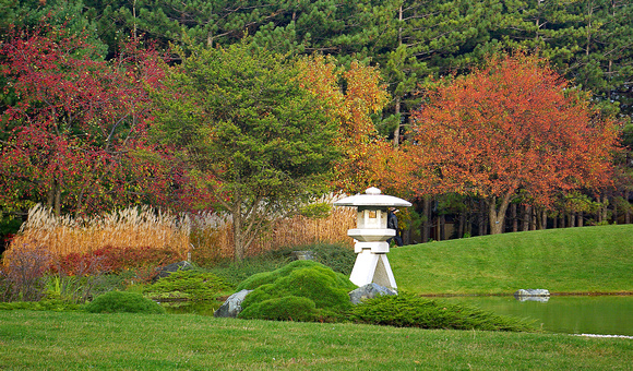 Elaine Bacal_Japanese garden in fall05