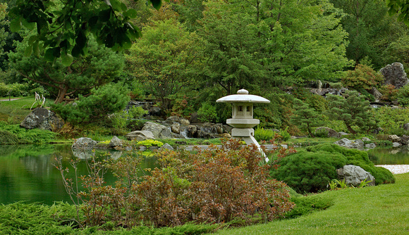 Elaine Bacal_Japanese garden view