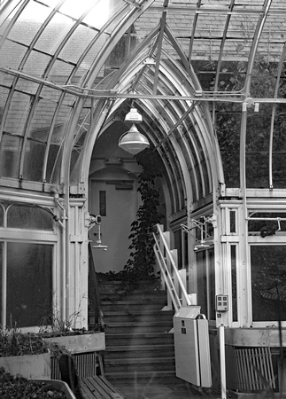Elaine Bacal_Old greenhouse at Westmount Park