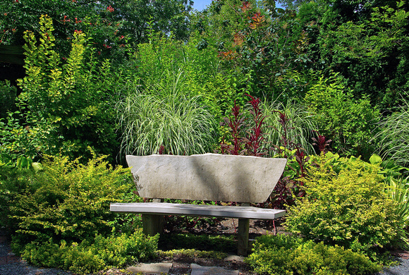 Elaine Bacal_Bench at gardens