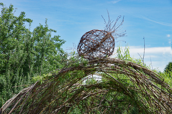 Elaine Bacal_Willow structure04