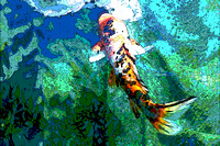 Elaine Bacal_posterized spotted koi