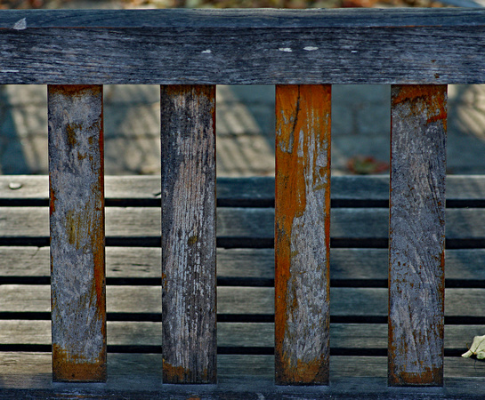 05_2308_Weathered park bench